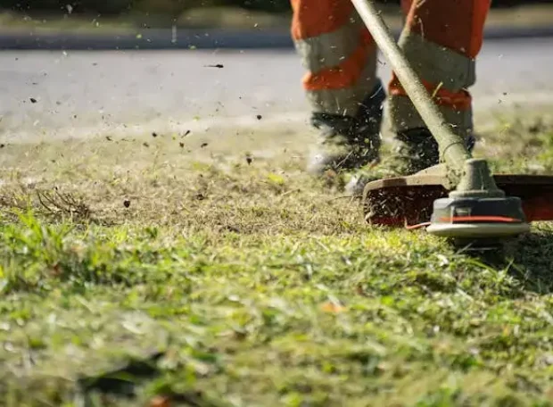 Professional garden and lawn care services in Melbourne VIC including mowing and trimming
