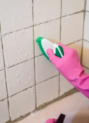 Damp areas in a home that attract pests, termites, and mould growth